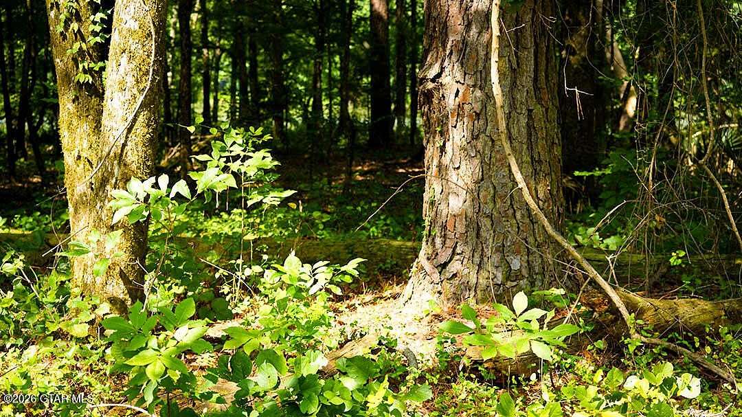 Land for Sale in Brooksville, Mississippi