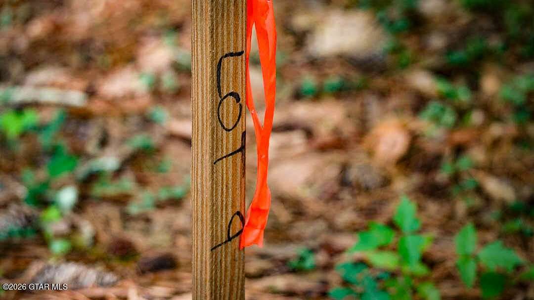 Land for Sale in Brooksville, Mississippi