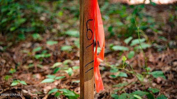 Residential Land for Sale in Brooksville, Mississippi