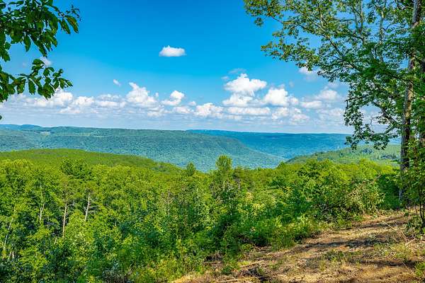 1.29 Acres of Residential Land for Sale in Haletown, Tennessee