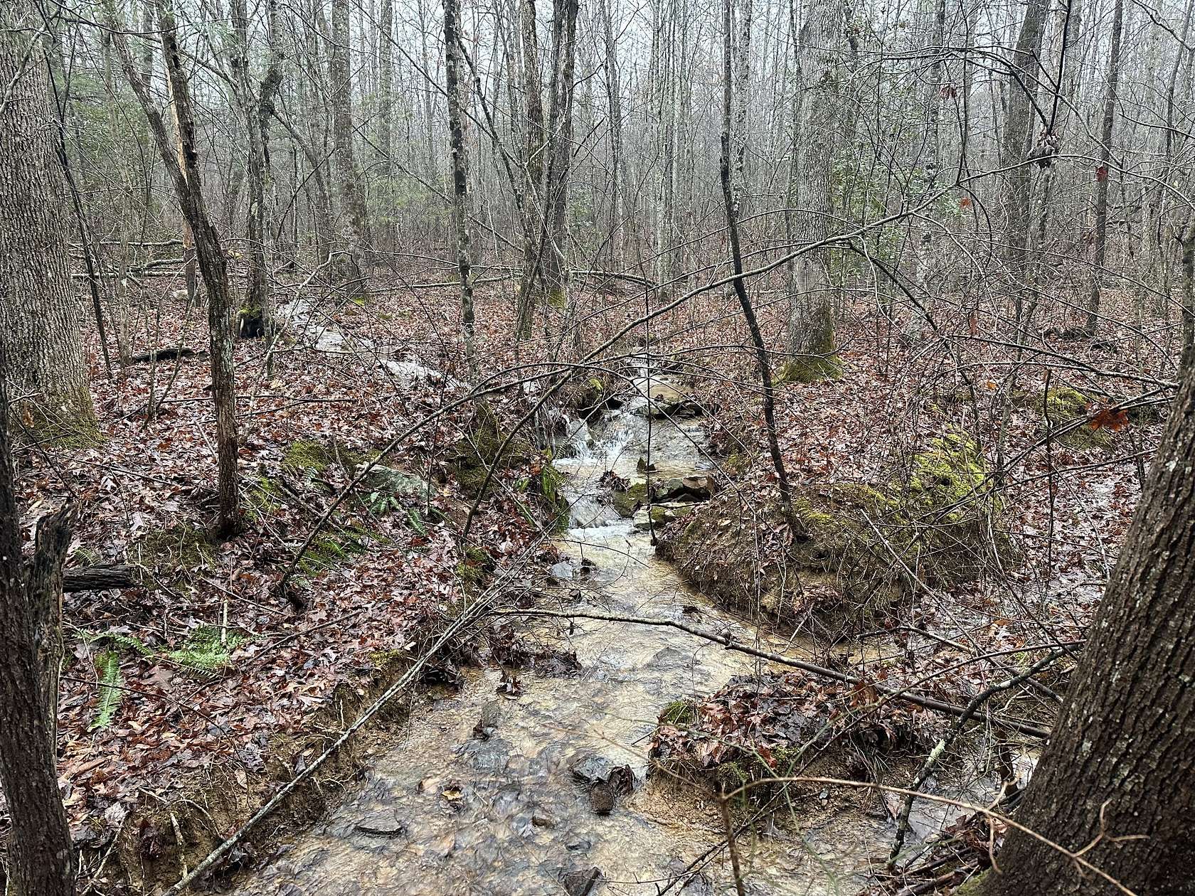 169 Acres of Recreational & Residential Land for Sale in Palmer, Tennessee