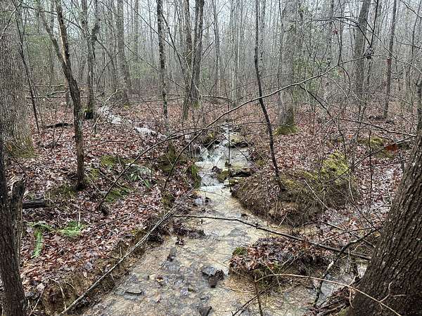 169 Acres of Recreational & Residential Land for Sale in Palmer, Tennessee