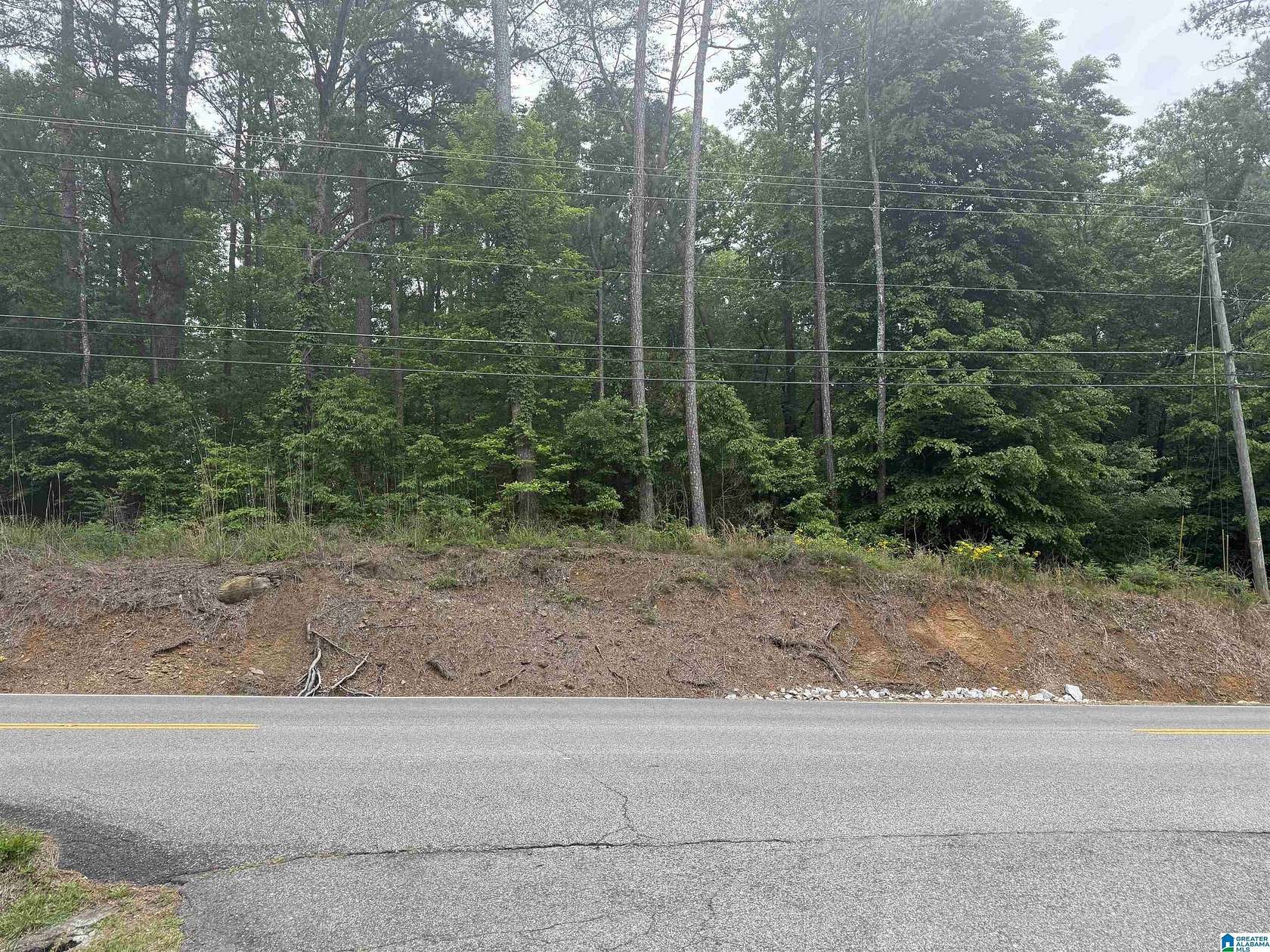 1.6 Acres of Land for Sale in Morris, Alabama