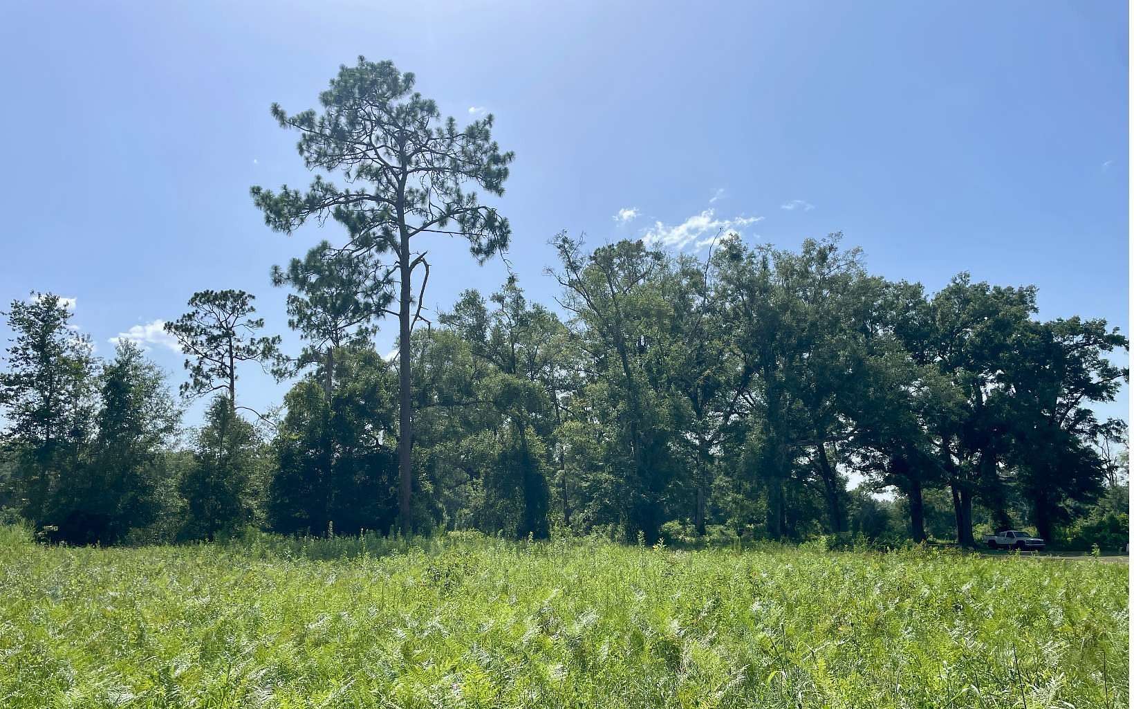 8 Acres of Residential Land for Sale in McAlpin, Florida