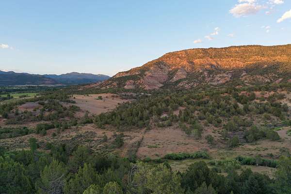 42 Acres of Recreational & Residential Land for Sale in Collbran, Colorado