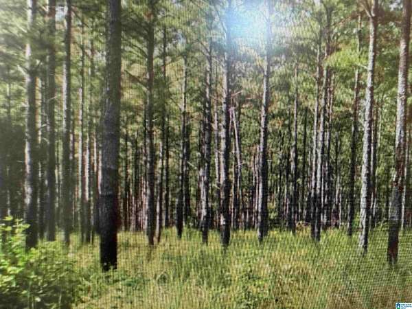 47.3 Acres of Recreational Land for Sale in Morris, Alabama