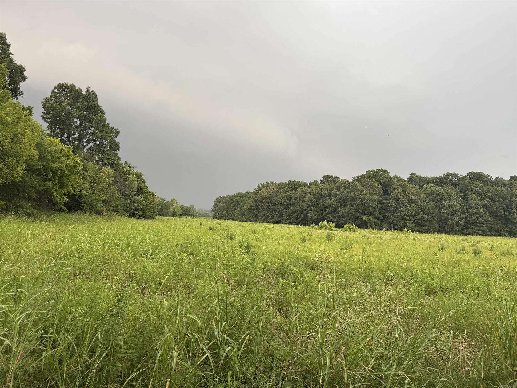 18.5 Acres of Land for Sale in Piggott, Arkansas