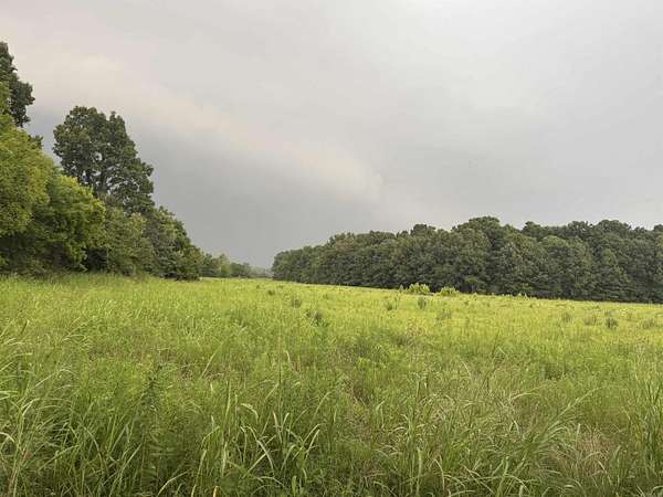 18.5 Acres of Land for Sale in Piggott, Arkansas
