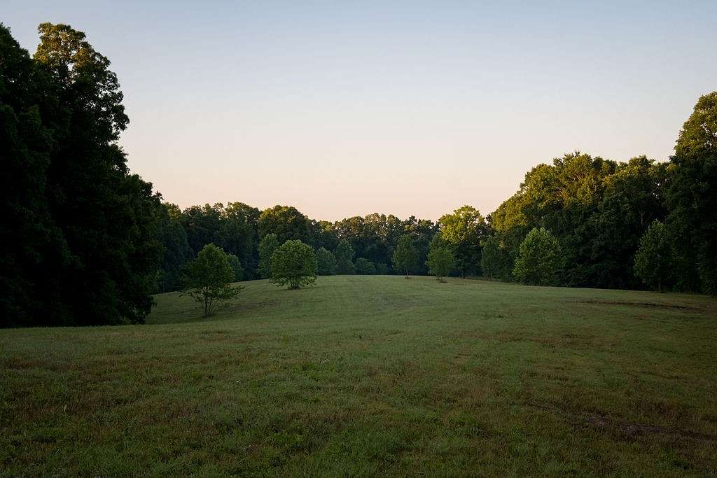 256 Acres of Land for Sale in Primm Springs, Tennessee
