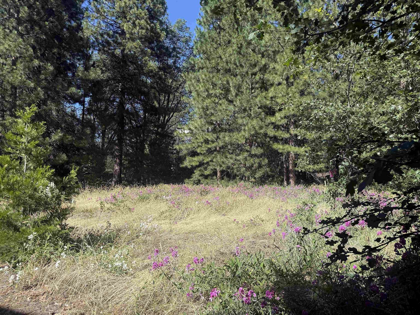 0.46 Acres of Residential Land for Sale in Mount Shasta, California