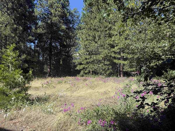 0.46 Acres of Residential Land for Sale in Mount Shasta, California
