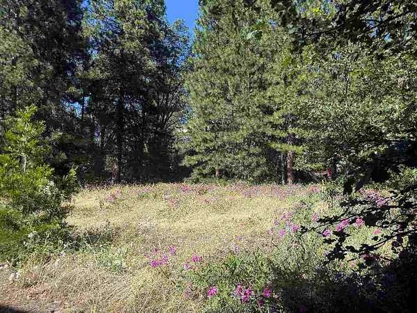 0.46 Acres of Residential Land for Sale in Mount Shasta, California
