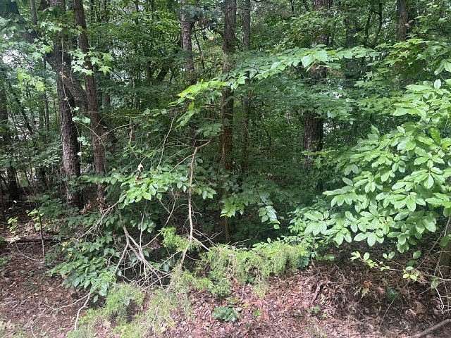 0.28 Acres of Residential Land for Sale in Westminster, South Carolina