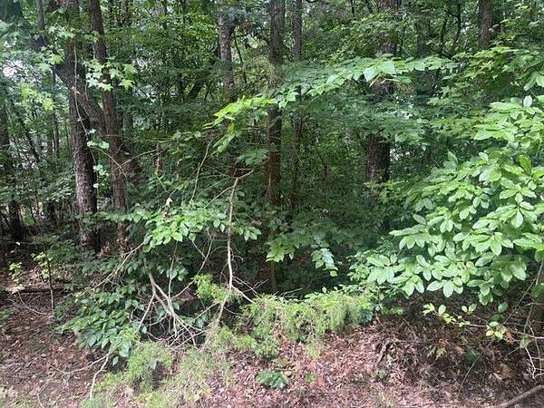 0.28 Acres of Residential Land for Sale in Westminster, South Carolina