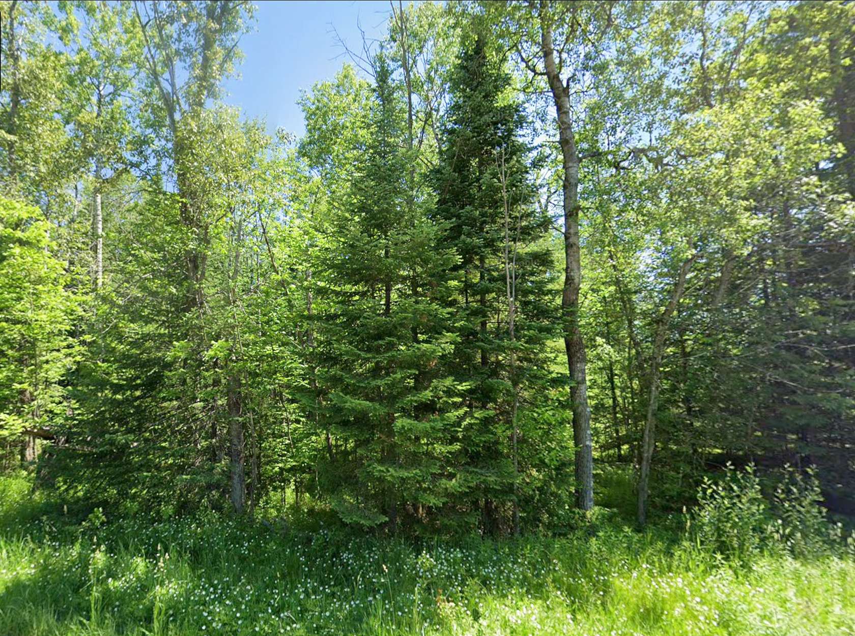 10.1 Acres of Recreational & Residential Land for Sale in Rose City, Michigan
