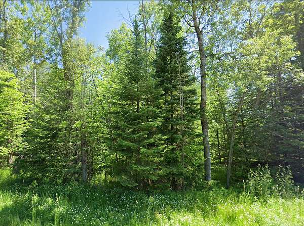 10.1 Acres of Recreational & Residential Land for Sale in Rose City, Michigan
