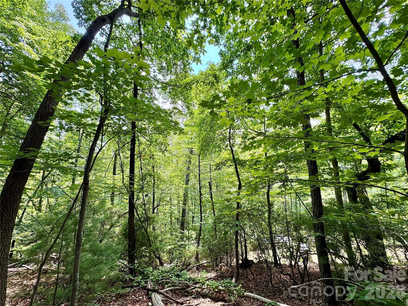 35.6 Acres of Recreational & Residential Land for Sale in Lenoir, North Carolina