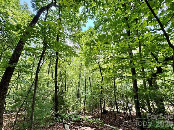 35.6 Acres of Recreational & Residential Land for Sale in Lenoir, North Carolina