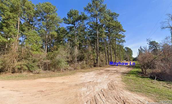0.26 Acres of Residential Land for Sale in Plantersville, Texas