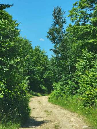 30.8 Acres of Recreational Land for Sale in Glastenbury, Vermont