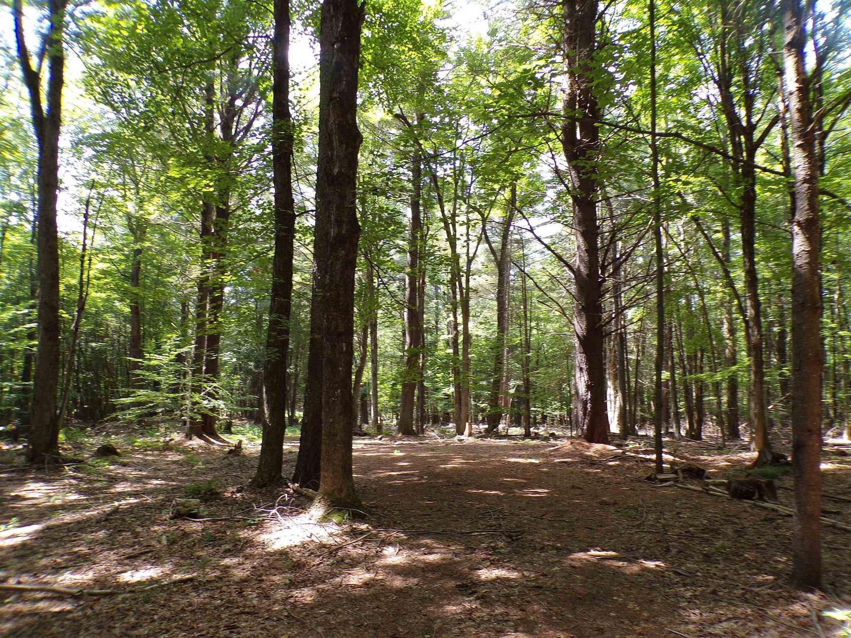 15.1 Acres of Land for Sale in Potsdam, New York