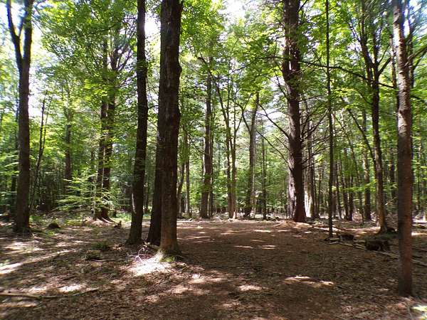 15.1 Acres of Land for Sale in Potsdam, New York