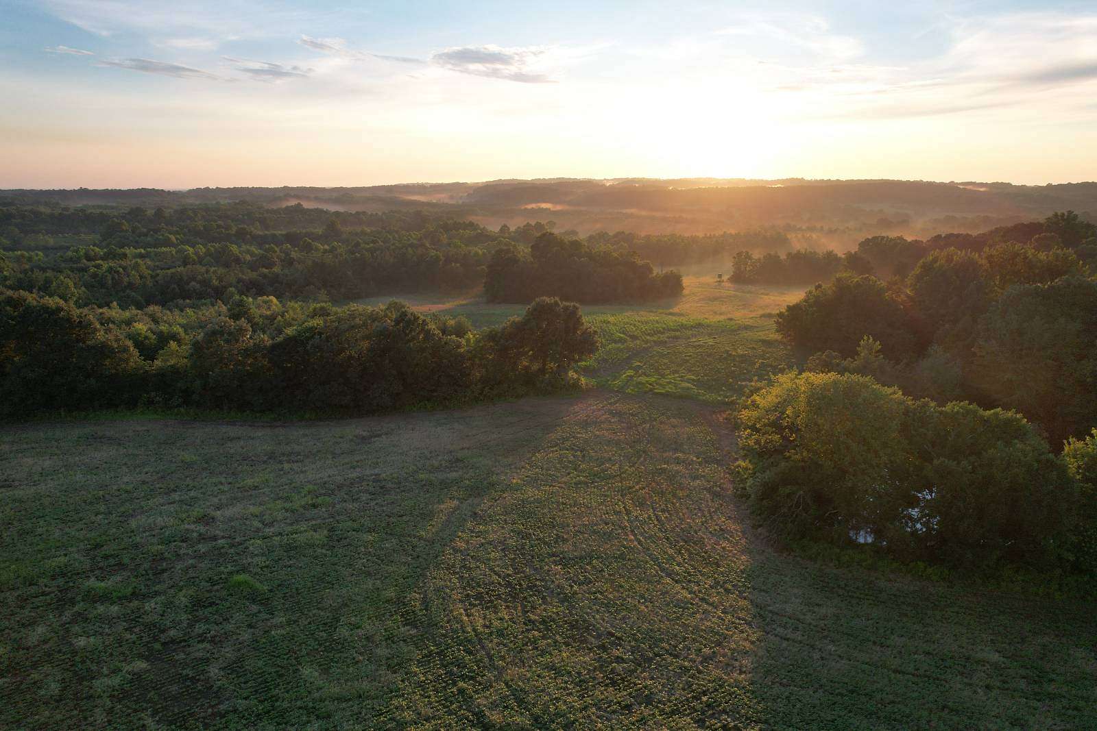 105 Acres of Land for Sale in Brookport, Illinois