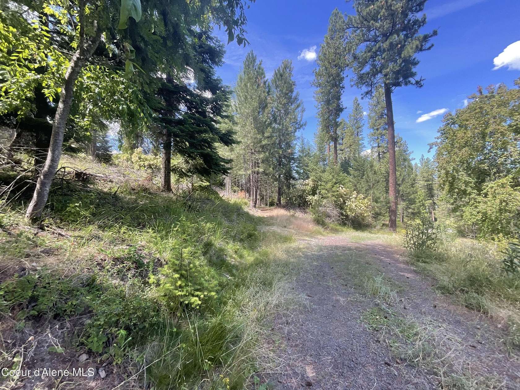 22.6 Acres of Recreational & Residential Land for Sale in Worley, Idaho