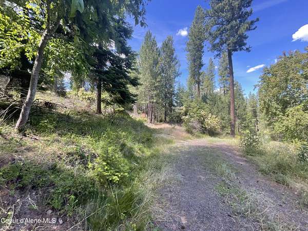 22.6 Acres of Recreational & Residential Land for Sale in Worley, Idaho
