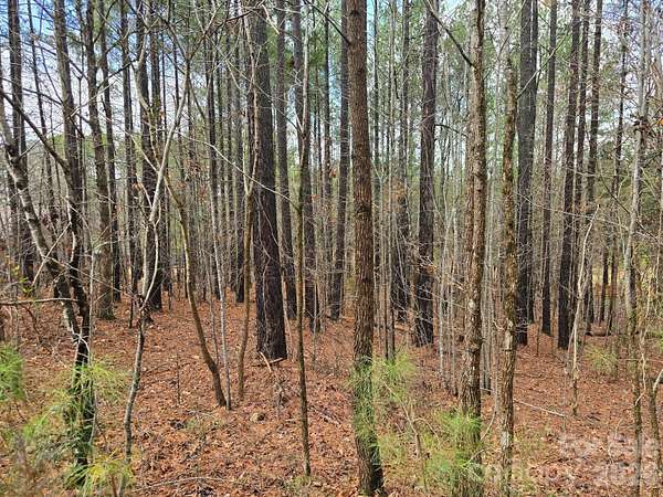 0.72 Acres of Residential Land for Sale in Denton, North Carolina