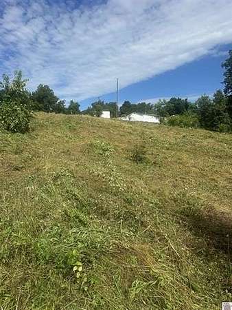 4 Acres of Mixed-Use Land for Sale in Hickman, Kentucky