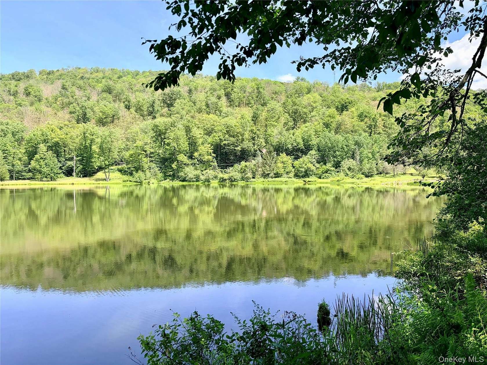 5.5 Acres of Residential Land for Sale in Roscoe, New York