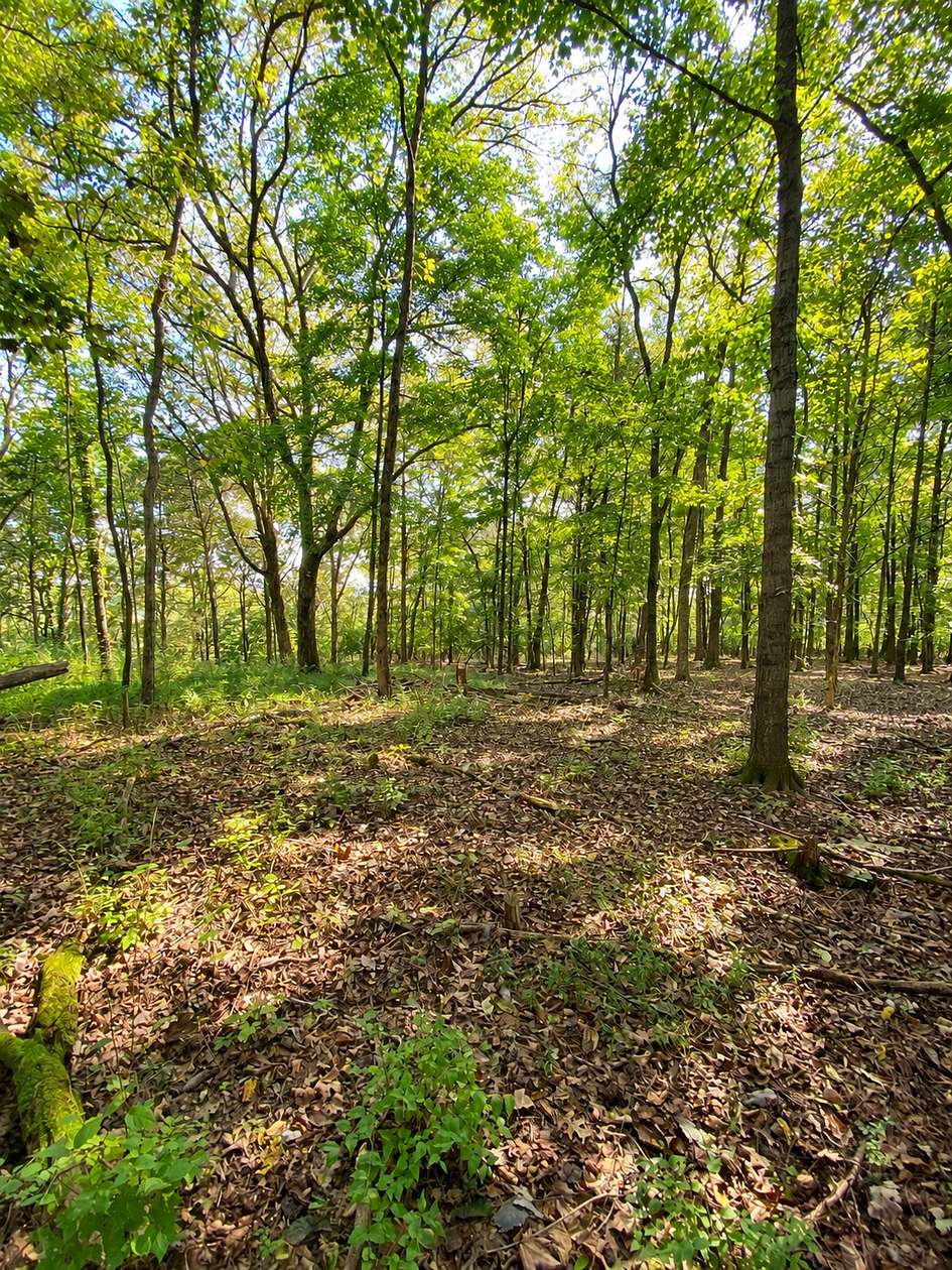 2.62 Acres of Residential Land for Sale in Madison, Tennessee