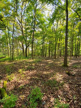 2.62 Acres of Residential Land for Sale in Madison, Tennessee