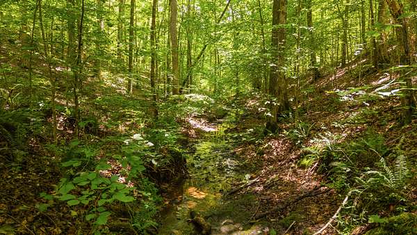 11.3 Acres of Land with Home for Sale in Franklin, Tennessee