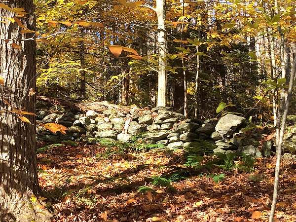 35.6 Acres of Recreational Land for Sale in Hancock, Vermont
