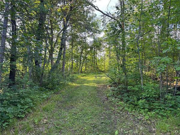 8 Acres of Agricultural Land for Sale in Moose Lake, Minnesota