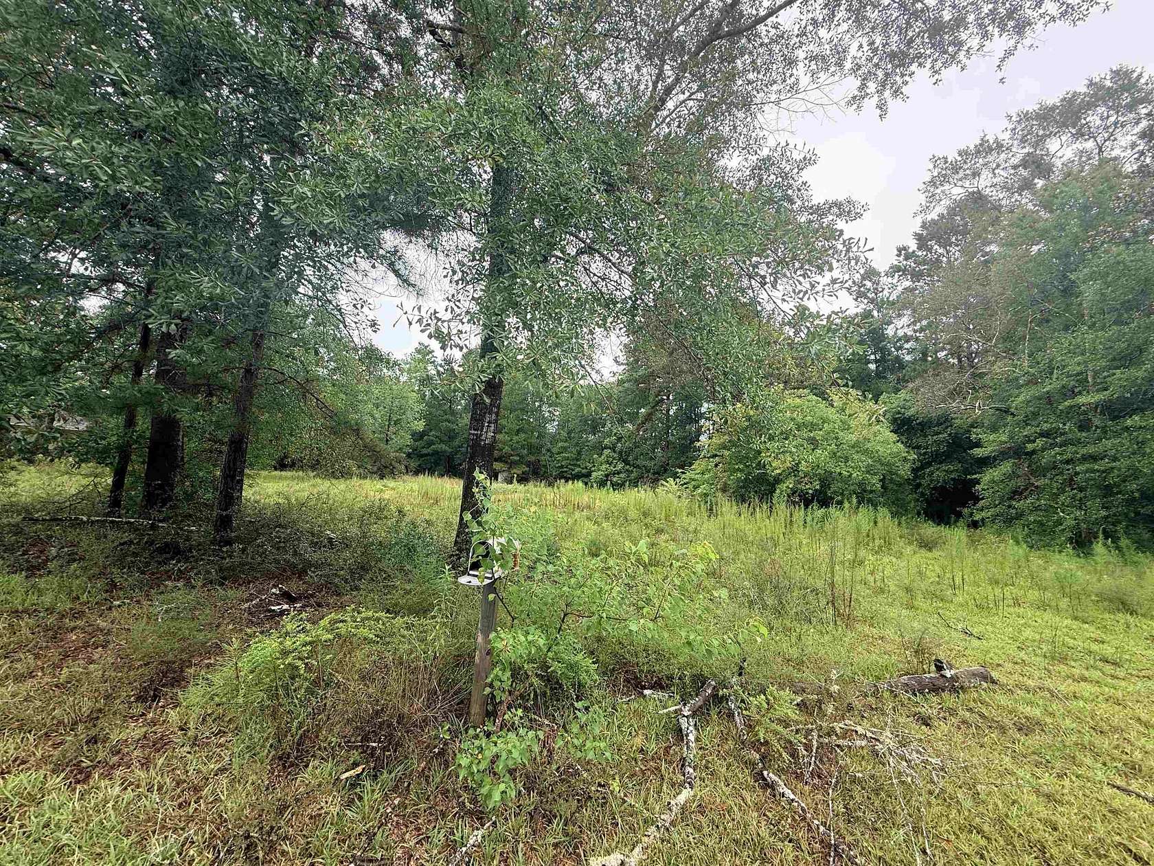 2.12 Acres of Residential Land for Sale in Kountze, Texas
