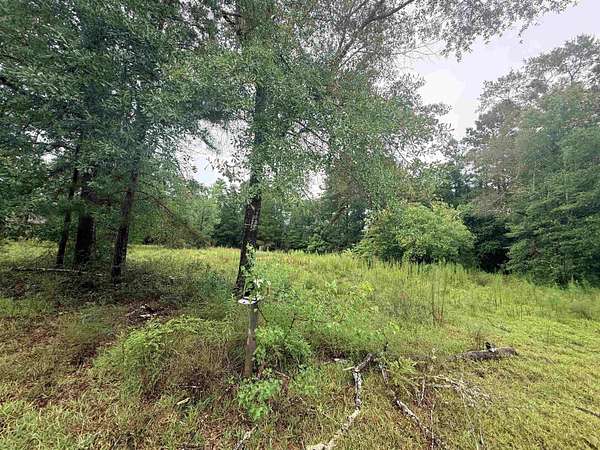 2.12 Acres of Residential Land for Sale in Kountze, Texas