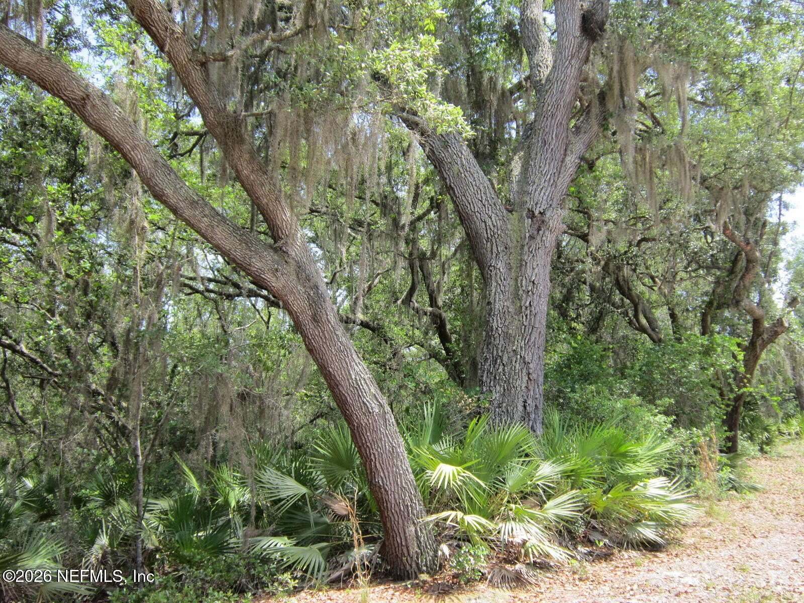 20 Acres of Agricultural & Residential Land for Sale in Melrose, Florida