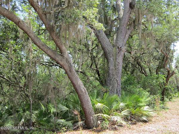 20 Acres of Agricultural & Residential Land for Sale in Melrose, Florida
