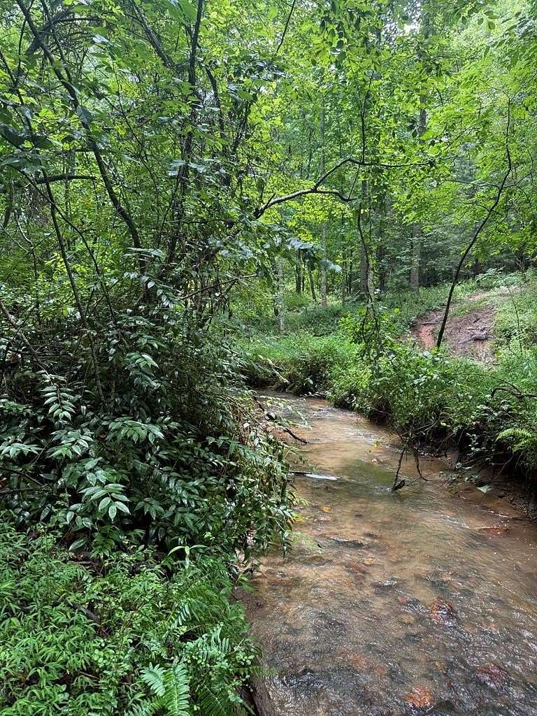 183 Acres of Recreational Land for Sale in Brasstown, North Carolina