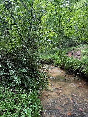183 Acres of Recreational Land for Sale in Brasstown, North Carolina