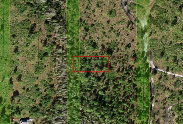 0.31 Acres of Land for Sale in St. Cloud, Florida