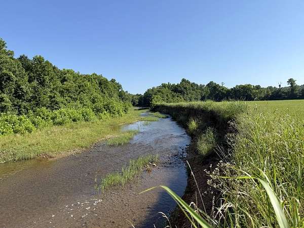 117 Acres of Recreational & Residential Land for Sale in Williford, Arkansas