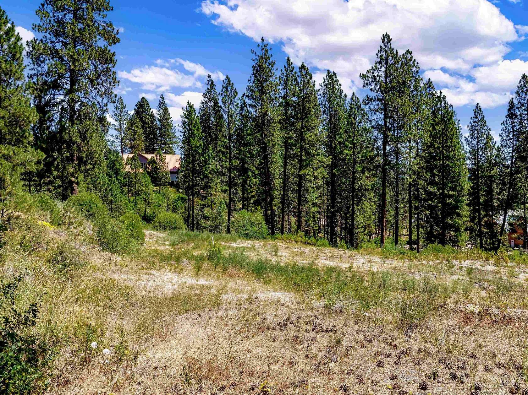 1.2 Acres of Land for Sale in Idaho City, Idaho