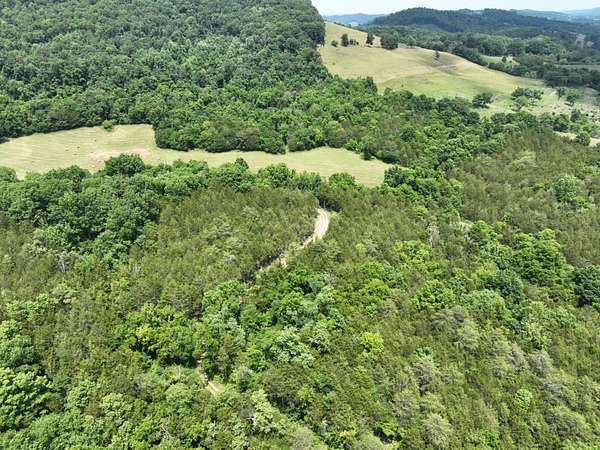 131 Acres of Land for Sale in Thorn Hill, Tennessee