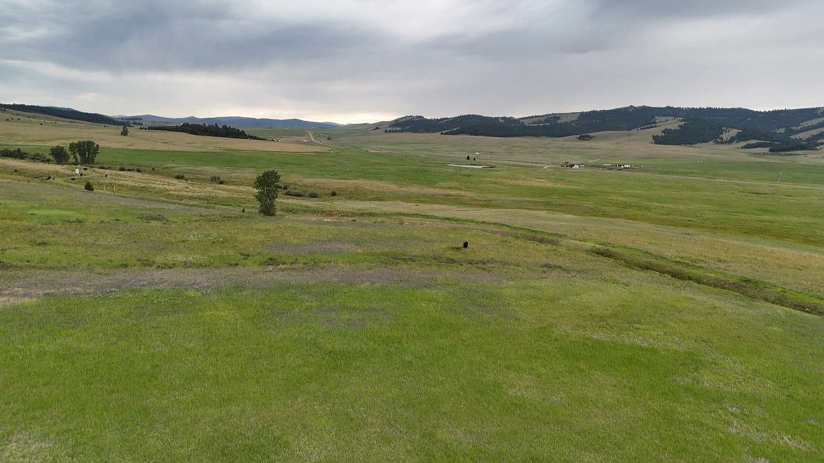 29.8 Acres of Recreational & Residential Land for Sale in Philipsburg, Montana