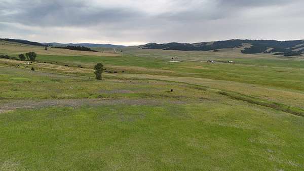 29.8 Acres of Recreational & Residential Land for Sale in Philipsburg, Montana