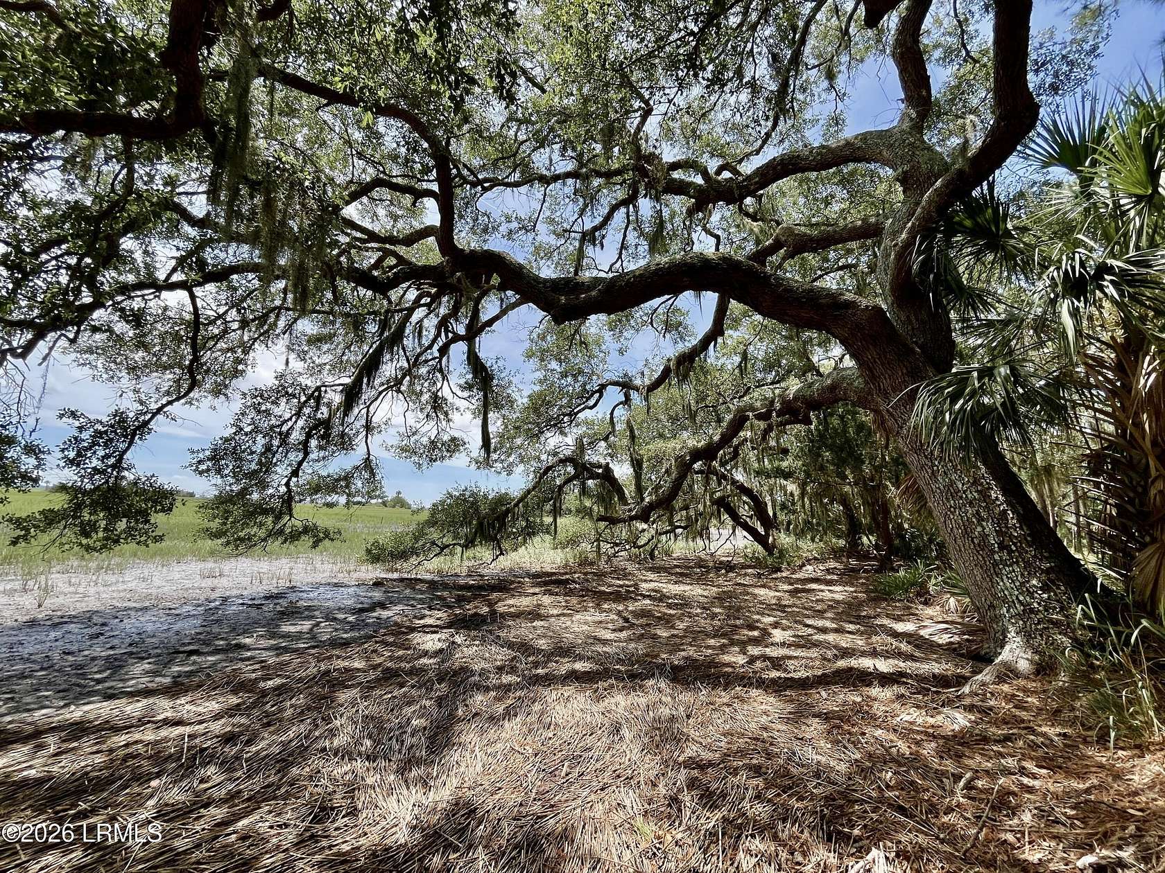 9.28 Acres of Residential Land for Sale in Saint Helena Island, South Carolina